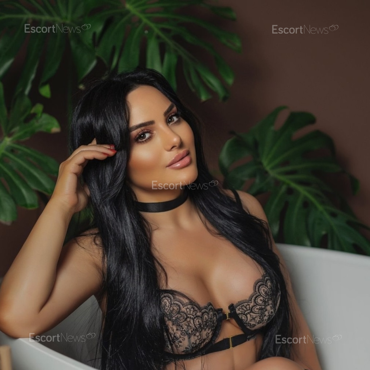 Mila_star